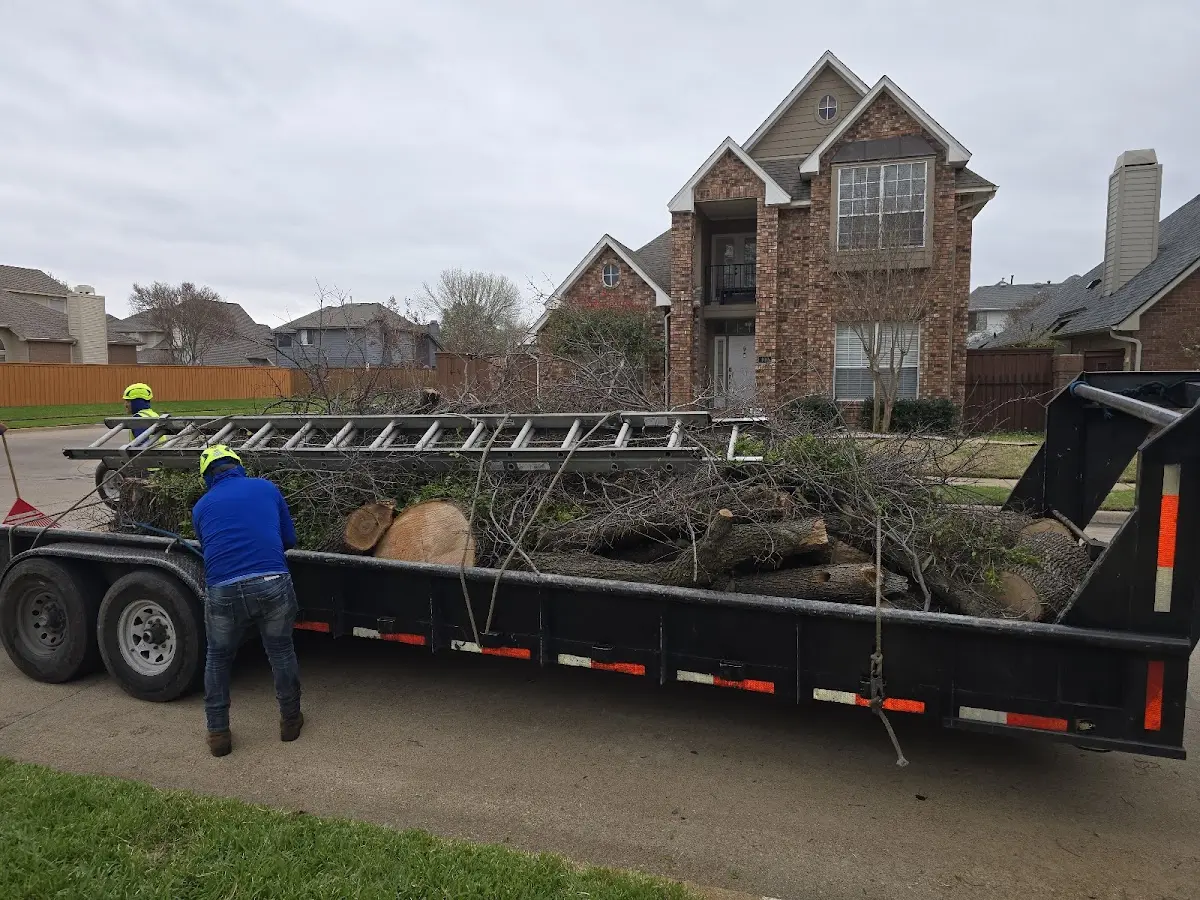 Expert Tree Fertilization with proper safety equipment in Chadbourn